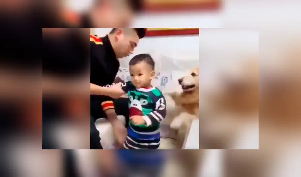 Vía Facebook. El papá simuló golpear a su bebé delante del can, sin imaginar la peculiar intervención que tendría este para proteger al pequeño