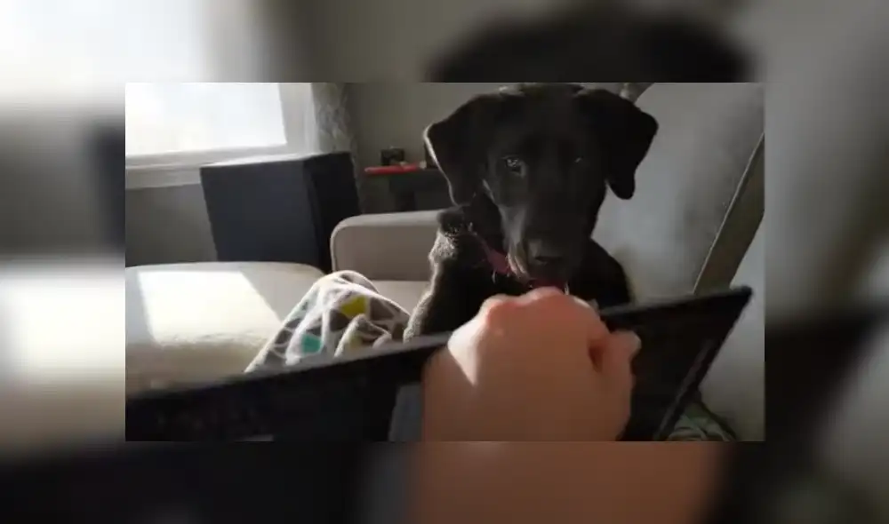 Desliza hacia la izquierda para ver más del video viral. Fotocaptura: YouTube Desliza hacia la izquierda para ver más del video viral. Fotocaptura: YouTube