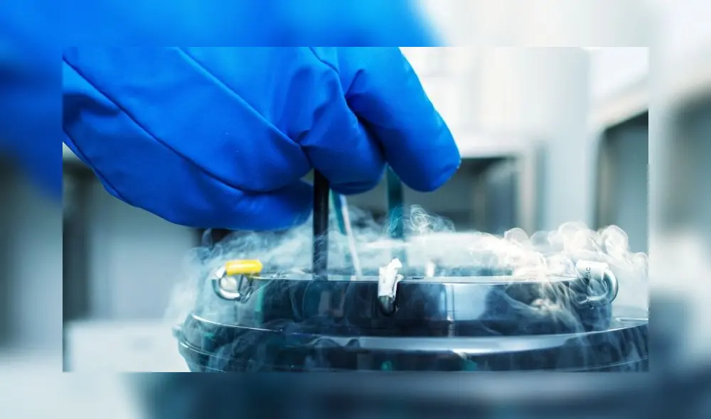 La práctica puede persuadir a más donantes varones y, con ello, derribar el estigma en torno a este procedimiento. Foto: Difusión. La práctica puede persuadir a más donantes varones y, con ello, derribar el estigma en torno a este procedimiento. Foto: Difusión.