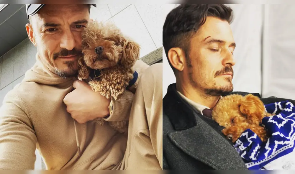 Katy Perry y Orlando Bloom destrozados al encontrar muerto a su perro Mighty tras siete días de haberse perdido Katy Perry y Orlando Bloom destrozados al encontrar muerto a su perro Mighty tras siete días de haberse perdido