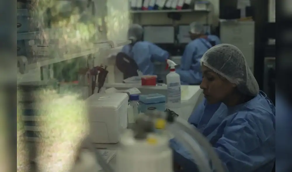 Coronavirus Coronavirus