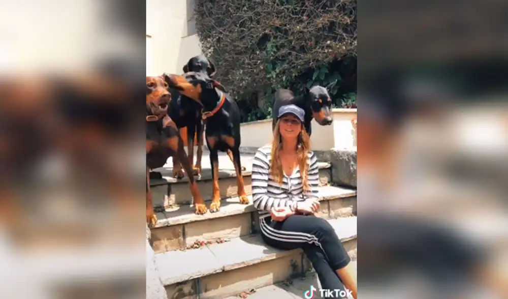 Desliza hacia la izquierda para ver más imágenes sobre esta divertida escena. (Foto: captura / TikTok)