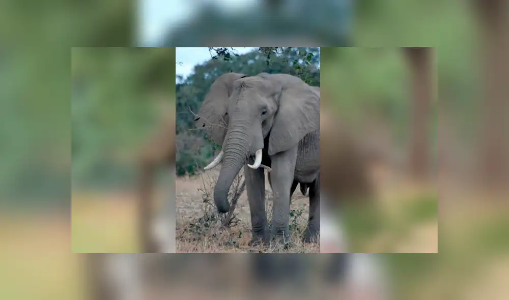 Desliza para ver las fotos que conmovieron a miles en Facebook. Foto: Captura. Desliza para ver las fotos que conmovieron a miles en Facebook. Foto: Captura.