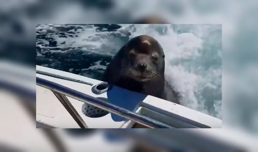 Desliza para ver todas las imágenes de YouTube. Foto: captura Desliza para ver todas las imágenes de YouTube. Foto: captura