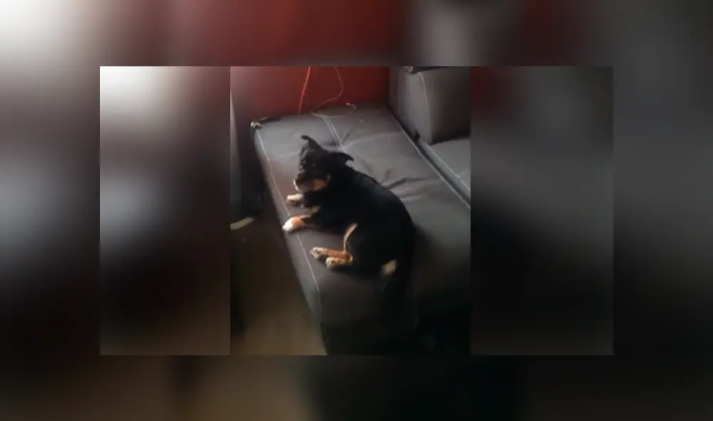 Desliza para ver los momentos más divertidos del video que se hizo viral en YouTube. Desliza para ver los momentos más divertidos del video que se hizo viral en YouTube.