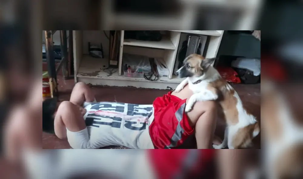 Desliza hacia la izquierda para ver más del video viral Desliza hacia la izquierda para ver más del video viral