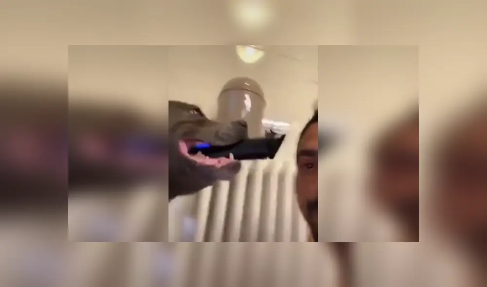 Desliza las imágenes para ver más fotos del divertido momento de 'cambio de look' que se hizo viral en Facebook. Desliza las imágenes para ver más fotos del divertido momento de 'cambio de look' que se hizo viral en Facebook.