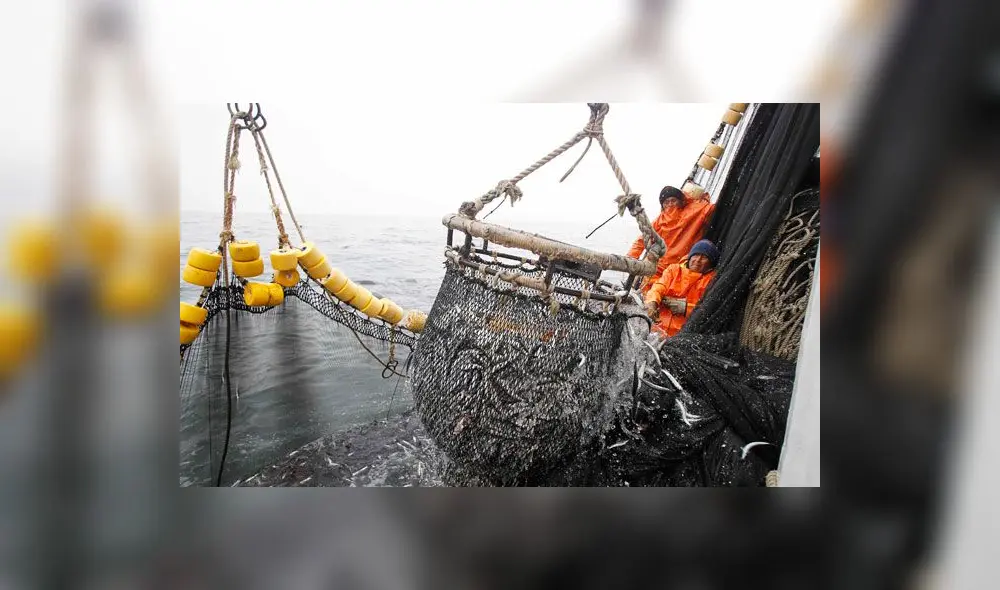 Imarpe ejecutará Operación Merluza para evaluar situación del recurso pesquero Imarpe ejecutará Operación Merluza para evaluar situación del recurso pesquero