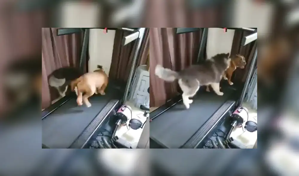 Desliza a la izquierda para ver más sobre este video viral de YouTube. Foto: Captura. Desliza a la izquierda para ver más sobre este video viral de YouTube. Foto: Captura.