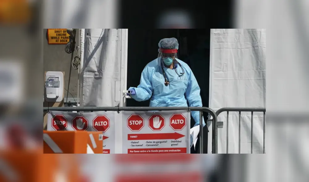 Se cree que la persona que resultó enferma pudo haber sido infectada por una pulga cuando paseaba a su perro cerca de un río. Foto: EFE/referencial Se cree que la persona que resultó enferma pudo haber sido infectada por una pulga cuando paseaba a su perro cerca de un río. Foto: EFE/referencial