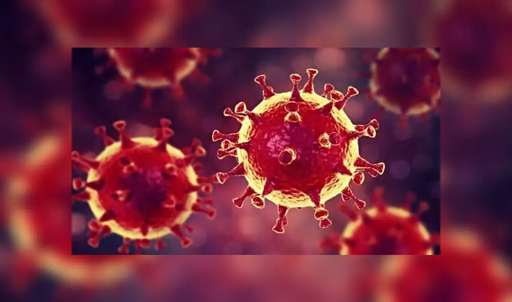 coronavirus diferencias coronavirus diferencias