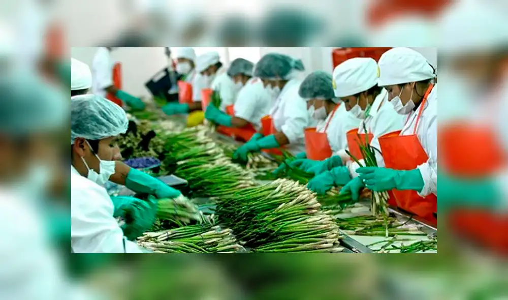 Perú: Más de US$15 mil millones generaron exportaciones regionales a junio de este año Perú: Más de US$15 mil millones generaron exportaciones regionales a junio de este año