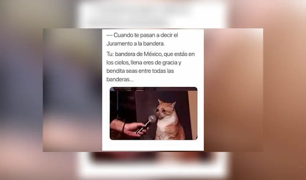 YouTube: Confunde juramento de la bandera con padre nuestro y es blanco de burlas [VIDEO]