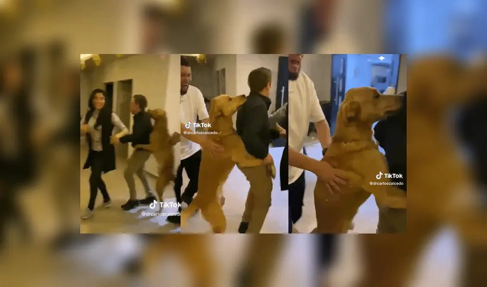 "Firulais" bailando en compañía de familia y amigos. Foto: composición Líbero / captura de TikTok / @drcarloscaicedo