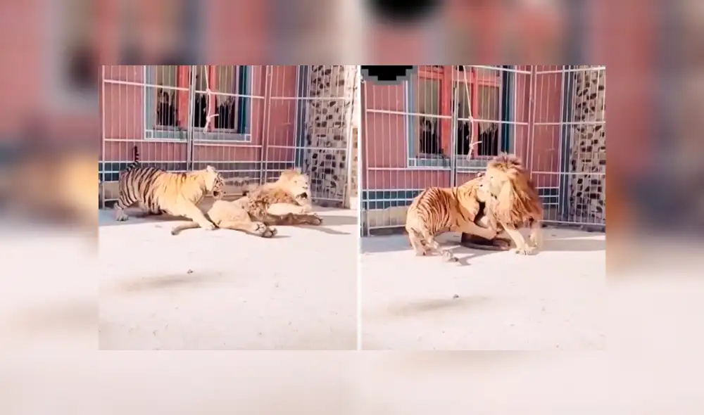 Desliza la imagen de YouTube para verlas todas. Foto: captura