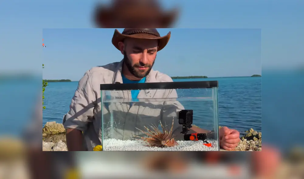 Un video viral muestra al famoso 'Coyote' Peterson siendo picado por un venenoso pez león. Un video viral muestra al famoso 'Coyote' Peterson siendo picado por un venenoso pez león.