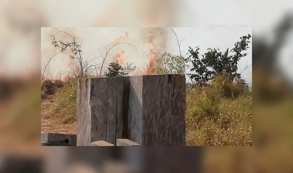 COER atendió este sábado seis incendios forestales en Iñapari, Iberia, Tampopata, Laberinto e Inambari. (Foto: Alcaldía de Iñapari)