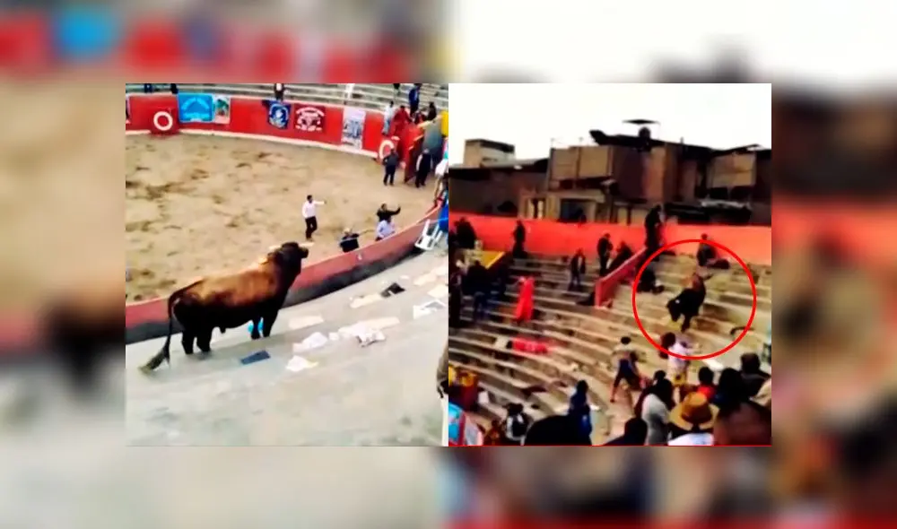 Asistentes a corridas afirman que esta no es la primera vez que un toro se sube a las tribunas. (Foto: Captura de video / Latina Noticias) Asistentes a corridas afirman que esta no es la primera vez que un toro se sube a las tribunas. (Foto: Captura de video / Latina Noticias)