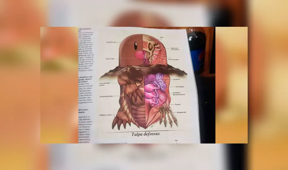 Desliza para ver el aspecto de Digglet que sorprendió a los fans de Pokémon GO. Foto: Captura. Desliza para ver el aspecto de Digglet que sorprendió a los fans de Pokémon GO. Foto: Captura.