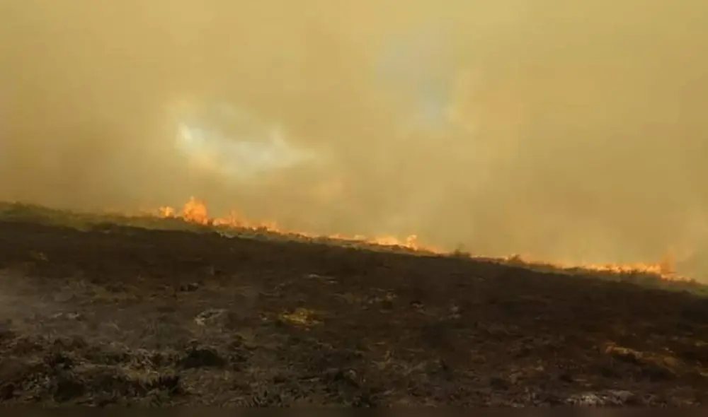 Incendio Parque del Manu Incendio Parque del Manu