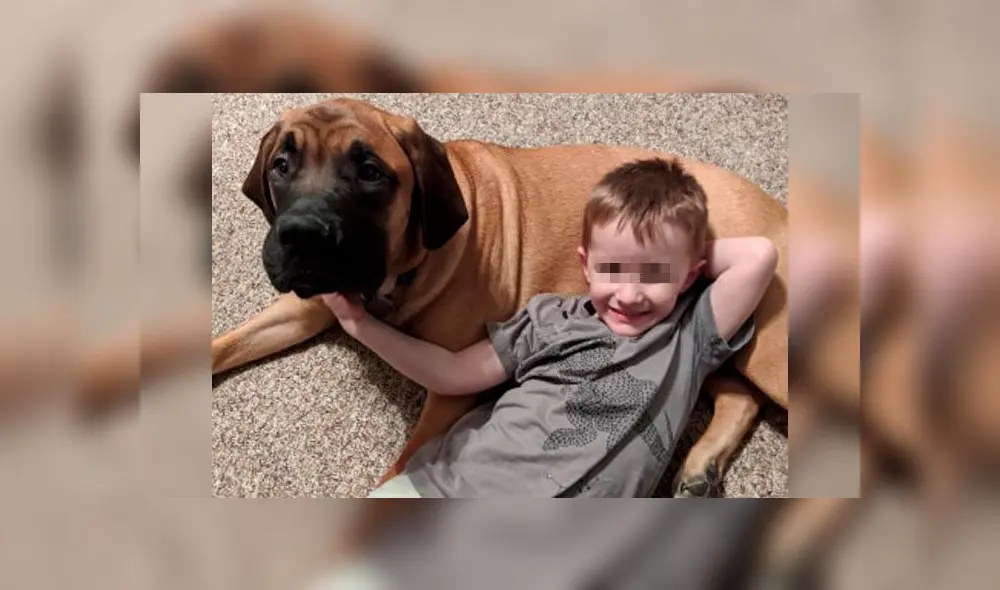 Perro acompaña a niño durante su castigo y enternece las redes sociales [FOTOS]