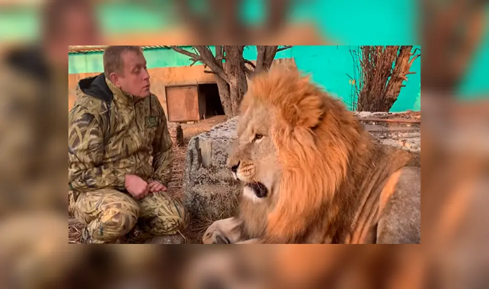 Desliza hacia la izquierda para ver el comportamiento del feroz león que se hizo viral en Facebook.