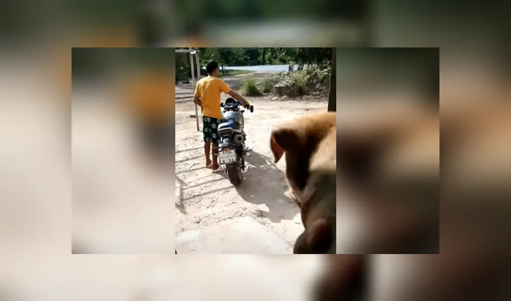 Desliza las imágenes para saber más sobre esta escena que se hizo viral en YouTube.