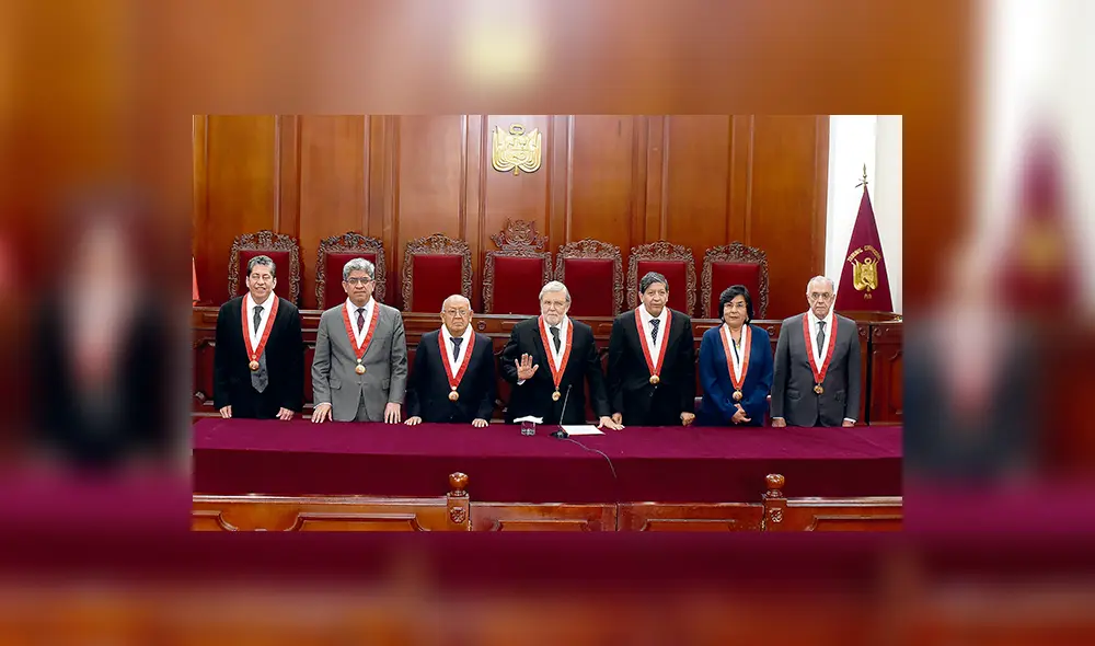 Tribunal Constitucional