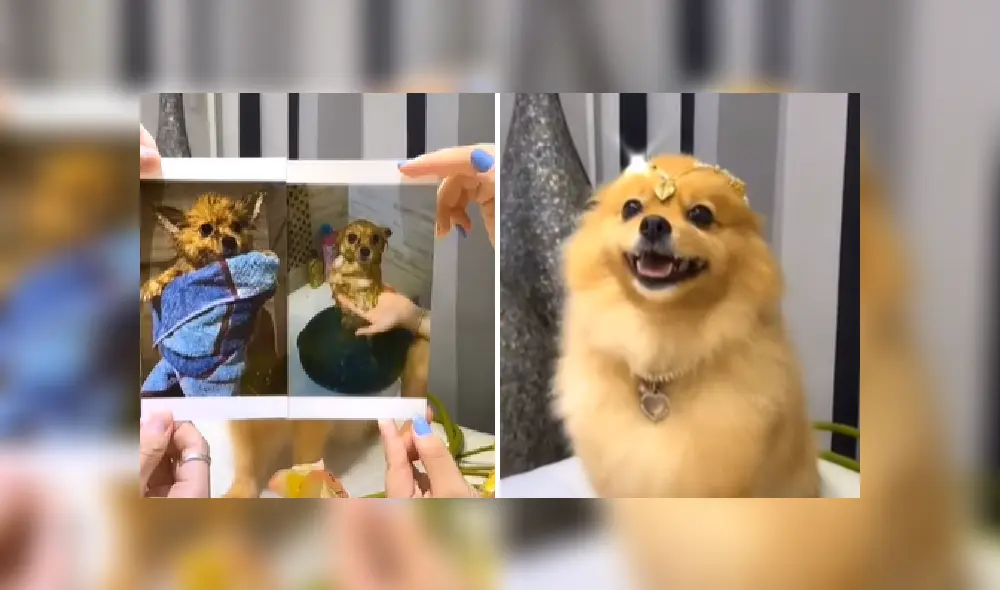 Desliza las imágenes para ver más detalles de este increíble cambio de look que es viral en Facebook. Desliza las imágenes para ver más detalles de este increíble cambio de look que es viral en Facebook.