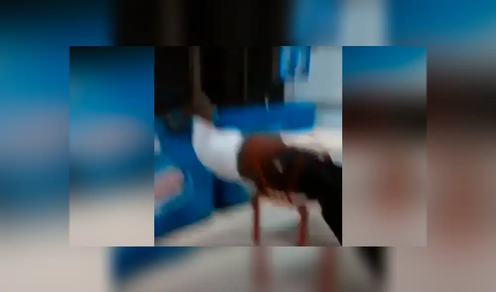 Facebook viral: hombre es troleado cruelmente luego de caerse de una silla mientras dormía [VIDEO]