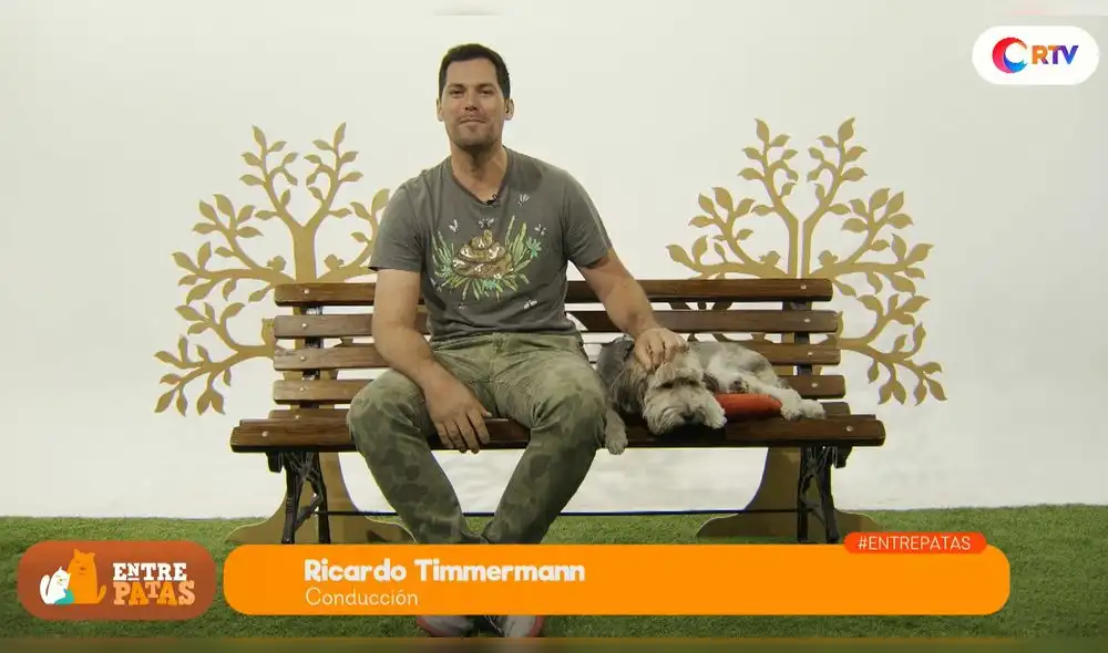 Obesidad en las mascotas te contamos cómo combatirla - Entre patas