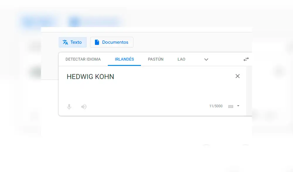 Google Translate: Buscó 'Hedwig Kohn' y el resultado lo dejó impactado [FOTOS] 
