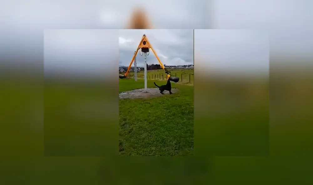 Desliza las imágenes para ver la divertida escena que protagonizó un perro callejero en un parque. Foto: Captura/Facebook Desliza las imágenes para ver la divertida escena que protagonizó un perro callejero en un parque. Foto: Captura/Facebook