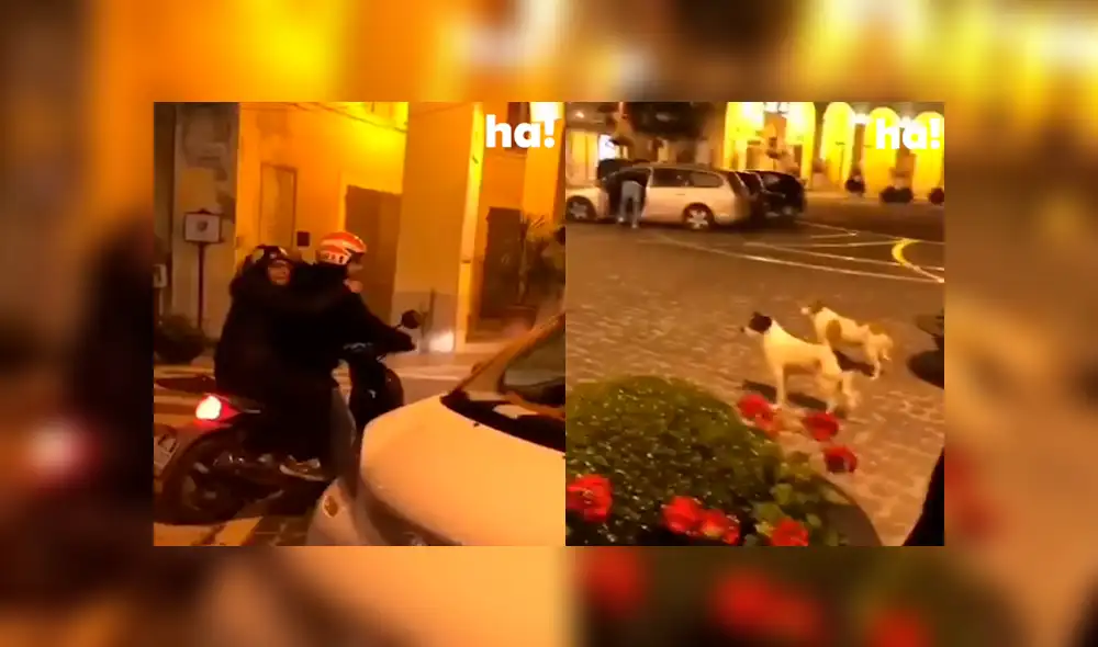 Desliza a la izquierda para ver este nuevo viral de Facebook. Foto: Captura. Desliza a la izquierda para ver este nuevo viral de Facebook. Foto: Captura.