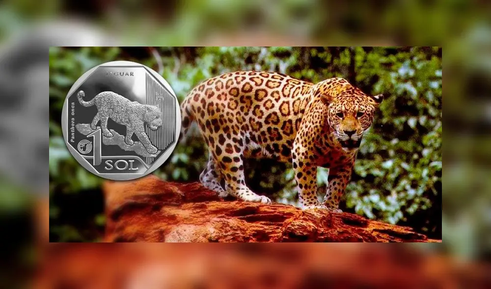 monedas BCR monedas BCR