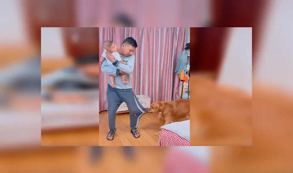 En Facebook, un perro no soportó la llegada de un recién nacido a su hogar y quiso obtener la atención de su dueño.