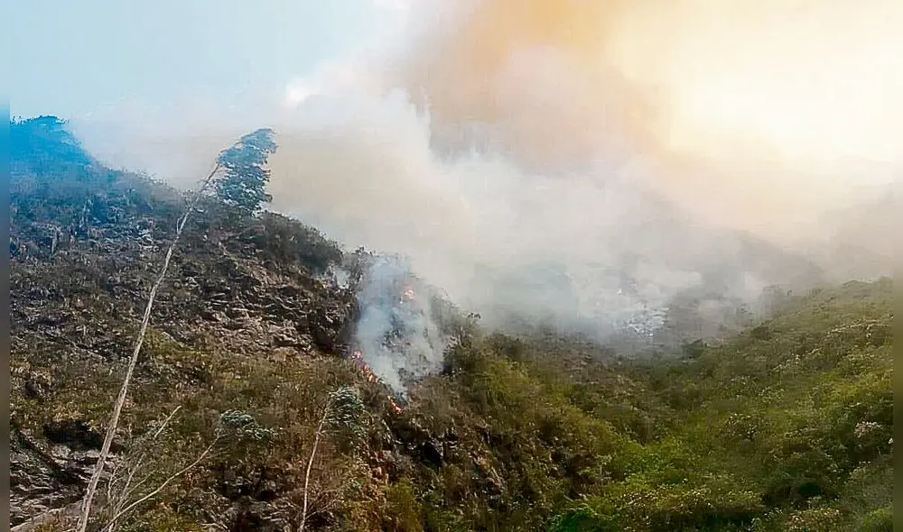 cerca a carretera. El fuego se expandió rápido.