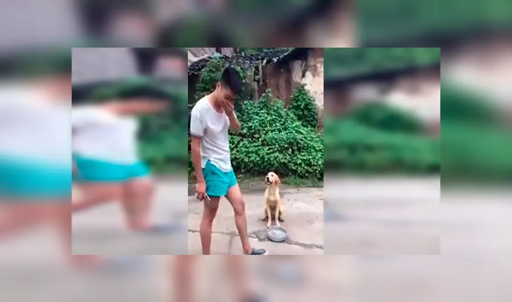 En Facebook, un perro sostenía su plato de comida para pedir comida a las personas en la calle y recibió conmovedora ayuda.