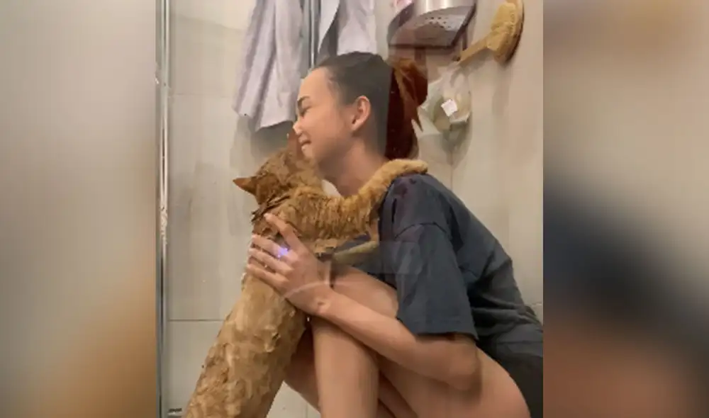 Desliza las imágenes para ver más detalles sobre esta curiosa escena que ha hecho reír a miles de usuarios. Foto: captura de YouTube