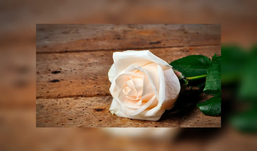 La Rosa de Guadalupe: así representó una pandemia el programa mexicano [VIDEO]