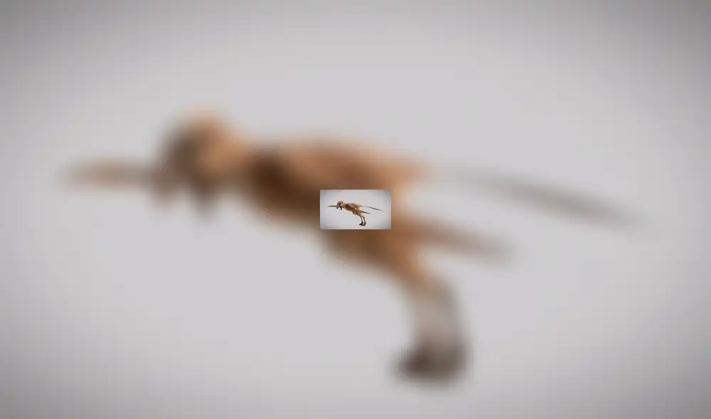 YouTube viral: Extraña criatura parecido a un dinosaurio sorprende en redes sociales [VIDEO]