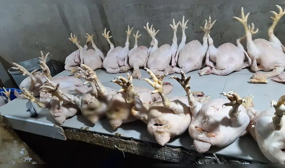 Autoridades de Cusco intervinieron local durante madrugada. Foto: PNP