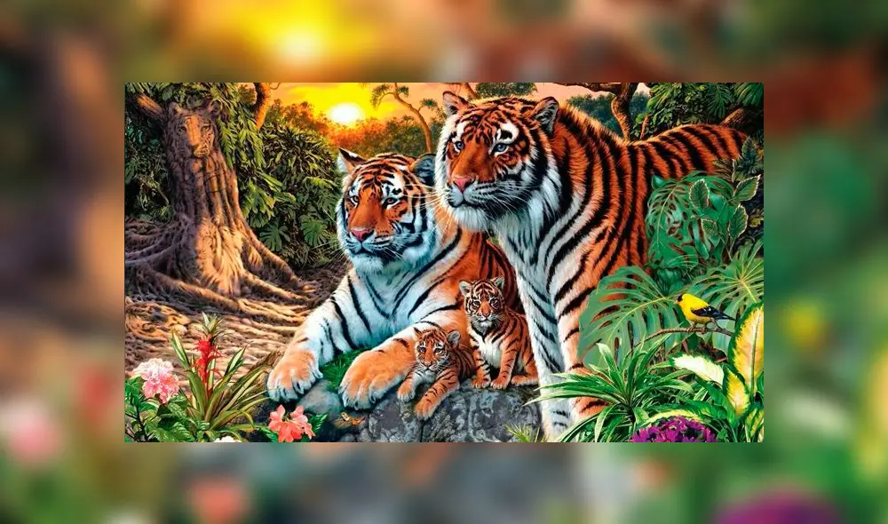 Desliza las imágenes para ver la ubicación exacta de los 65 tigres que aparecen en dicho complejo reto visual. Foto: Twitter Desliza las imágenes para ver la ubicación exacta de los 65 tigres que aparecen en dicho complejo reto visual. Foto: Twitter