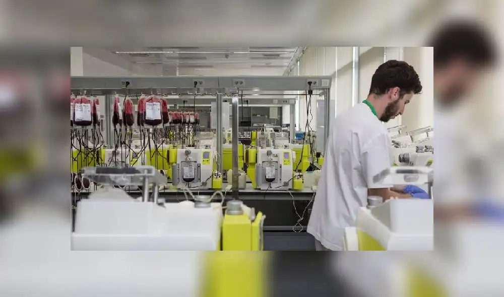 Transfusión de sangre coronavirus Transfusión de sangre coronavirus