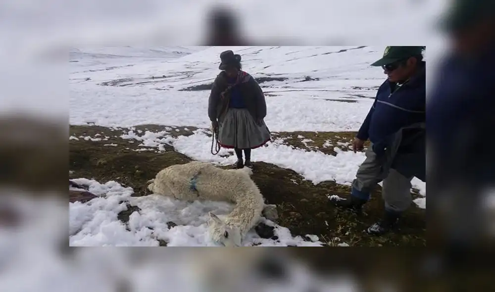 Tacna: suspenden clases hasta el viernes 8 por bajas temperaturas Tacna: suspenden clases hasta el viernes 8 por bajas temperaturas