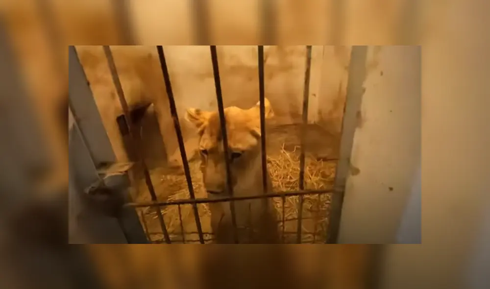 Desliza hacia la izquierda para ver las imágenes de viral de Facebook. Desliza hacia la izquierda para ver las imágenes de viral de Facebook.