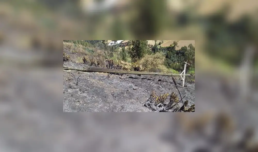 Áncash: incendio forestal deja sin luz a seis localidades Áncash: incendio forestal deja sin luz a seis localidades