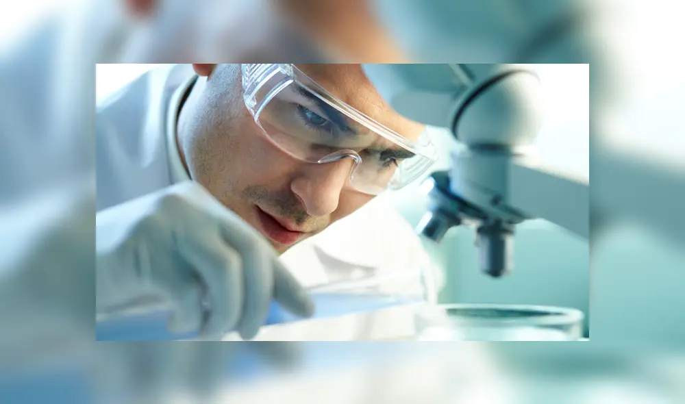 En la actualidad, el estudio de la ciencia debe estar ligado al conocimiento del idioma inglés | Foto: agrobio En la actualidad, el estudio de la ciencia debe estar ligado al conocimiento del idioma inglés | Foto: agrobio