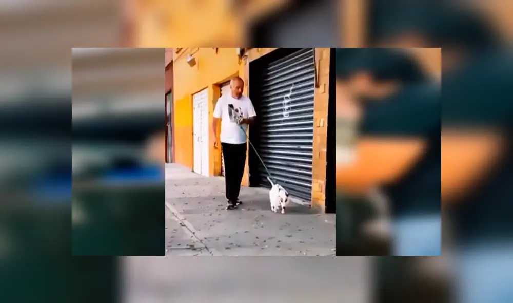 Desliza las imágenes hacia la izquierda para apreciar la verdadera amistad entre un padre y su nueva mascota.