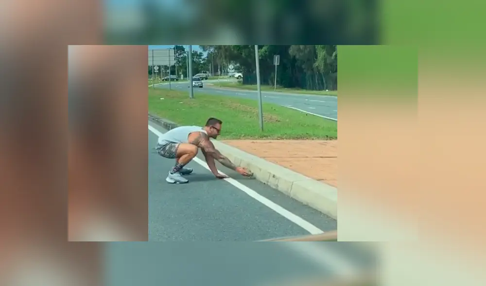 Desliza para ver todas las imágenes de Facebook. Foto: captura Desliza para ver todas las imágenes de Facebook. Foto: captura